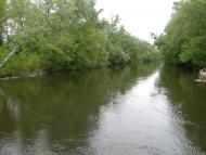 Кунівка з panoramio.com