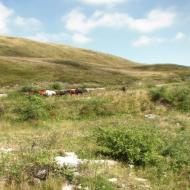 Липовець з panoramio.com