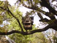 Шевченкове з panoramio.com