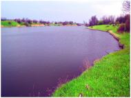 Новоданилівка - Останні фото