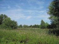 Григорівка з panoramio.com