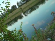 Дмитрівка з panoramio.com