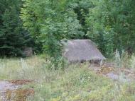 Дзензелівка з panoramio.com