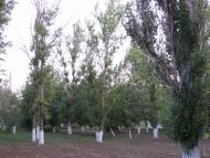 Андріївка з panoramio.com