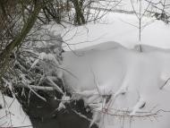 Дорогів з panoramio.com