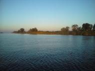 Берегове з panoramio.com