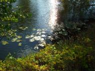 Острів з panoramio.com