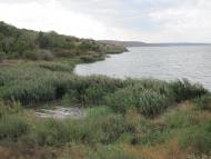 Алтестове з panoramio.com