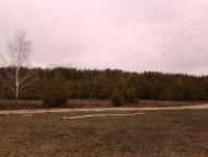 Піски з panoramio.com