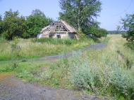 Баланды - Последние фото