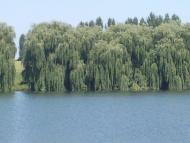 Старий Милятин з panoramio.com