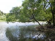 Підсухе з panoramio.com