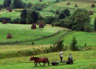 Тухля з panoramio.com