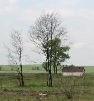 Раківка з panoramio.com