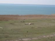 Озерне з panoramio.com