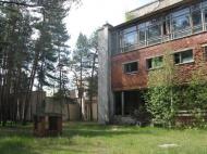 Головач з panoramio.com