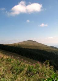 Липовець з panoramio.com