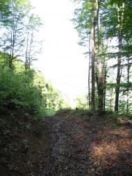 Красна з panoramio.com