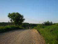 Дережичі з panoramio.com