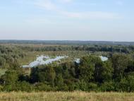 Яшники з panoramio.com