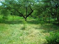 Оброшине з panoramio.com