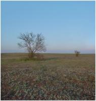 Жовтокам'янка з panoramio.com