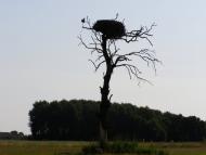 Куковицьке з panoramio.com