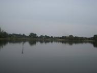 Черепашинці з panoramio.com