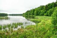 Верещиця з panoramio.com