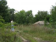 Дзензелівка з panoramio.com