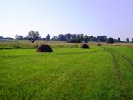 Баланди з panoramio.com