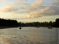 Дубовичі з panoramio.com