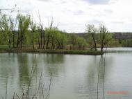 Пасицели з panoramio.com