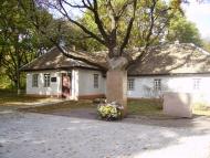 Шевченкове з panoramio.com