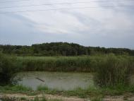 Веселе з panoramio.com