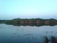 Дмитрівка з panoramio.com