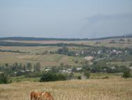 Милування з panoramio.com