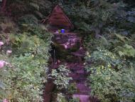 Гута з panoramio.com