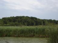 Веселе з panoramio.com