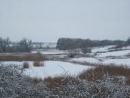 Нова Мерефа з panoramio.com