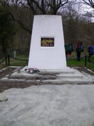 Лісне з panoramio.com