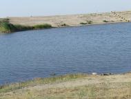 Черемшине з panoramio.com