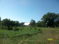 Тарасівці з panoramio.com