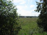 Радванці з panoramio.com