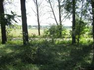 Радванці з panoramio.com