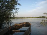 Короваї з panoramio.com