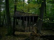 Ольшаниця з panoramio.com - Ольшаниця