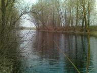 Короваї - Останні фото