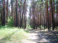 Бірки з panoramio.com