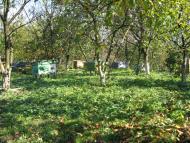 Перепеличчя з panoramio.com